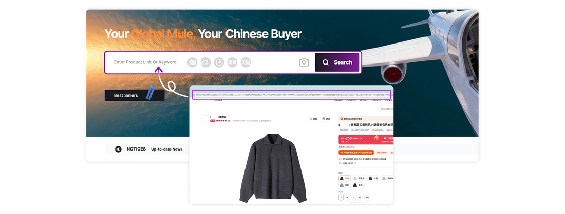 Search and Match